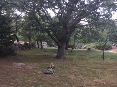 7 Night Heron Ln, Chilmark, MA 02535 - photo 6