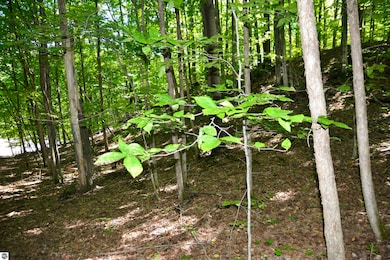 8080 S Sullivan Rd, Cedar, MI 49621 - photo 4