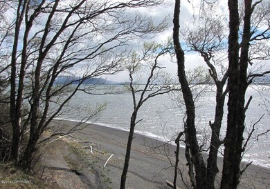 trees on bluff as well