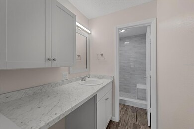 Master Bath Vanity & Storage