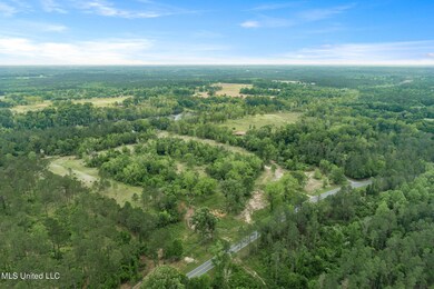 0 24 95 + - Ac Basin Central Rd, Lucedale, MS 39452 - photo 3