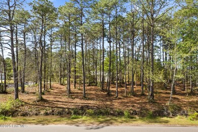 15-web-or-mls-CAMMediaLLC.com-0455