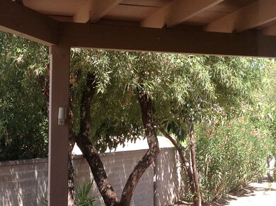 Back yard view from kitchen wind