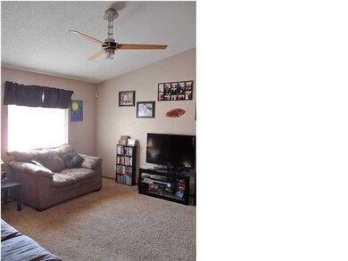 All window blinds stay - vaulted ceiling makes the