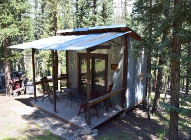 10223 Trail Creek Rd, Florissant, CO 80816 - photo 4