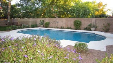 Newly Resurface Diving Pool