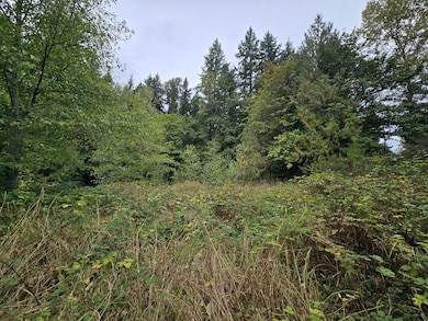 12628 208th Place NE, Union Hill-Novelty Hill, WA 98077 - photo 2