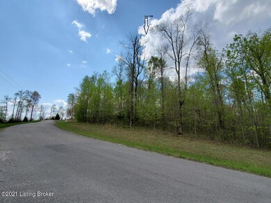 67R Patriots Landing Ln, Falls of Rough, KY 40119 - photo 6