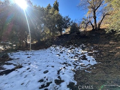 0 Flume unit HD25262637, Wrightwood, CA 92397 - photo 5