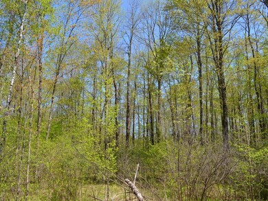 AT Hwy 86, Tomahawk, WI 54487 - photo 6