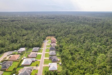 DJI_0353