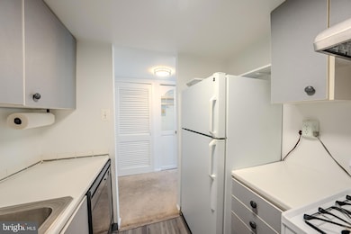 The Horizon House unit 118, Arlington, VA 22202 - photo 7