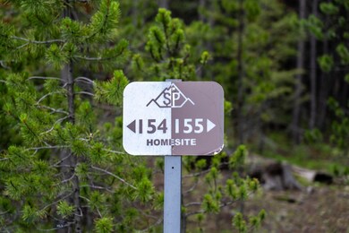 155 Seclusion Point Fork, Big Sky, MT 59716 - photo 3