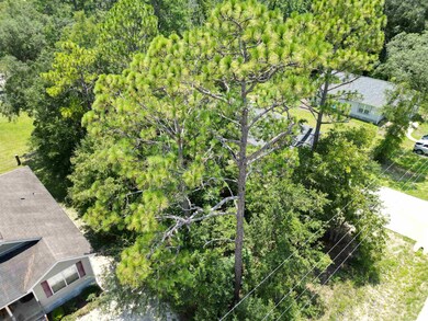 unlisted-address, Crawfordville, FL 32327 - photo 4