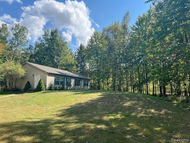 9996 N Chippewa Rd, Coleman, MI 48618 - photo 6