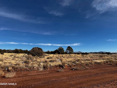 3584 E Wingfield Rd, Grand Canyon Junction, AZ 86046 - photo 7