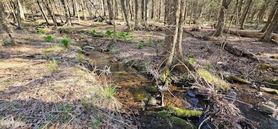 Lot 85 Perry Pond Rd, Tusten, NY 12764 - photo 7