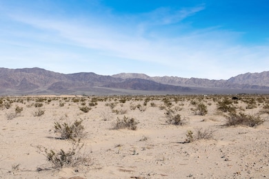 80550 Norman Rd, Twentynine Palms, CA 92277 - photo 2