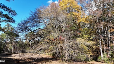 DJI_20251031135241_0160_D