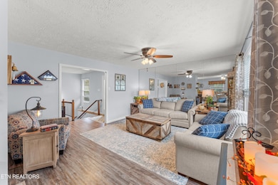 605 Belle Glade Ln, Knoxville, TN 37923 - photo 6