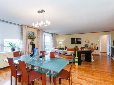 Imperial Towers unit 812, Chestnut Hill, MA 02467 - photo 4