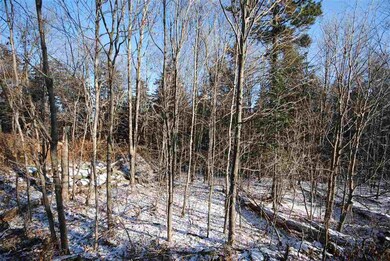00 Mann Rd unit Lot 3, Wilmington, VT 05363 - photo 6