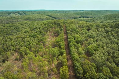 DJI_0951