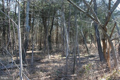 2012 Coles Mill Rd, Franklinville, NJ 08322 - photo 2