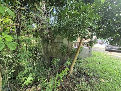 1 Bo Lomas, Canovanas, PR 00729 - photo 4