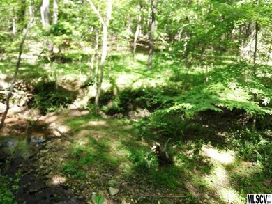 6630 Sain Milling Rd, Vale, NC 28168 - photo 4