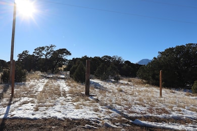 0 Shawnee Cir unit Lot 89, Walsenburg, CO 81089 - photo 4
