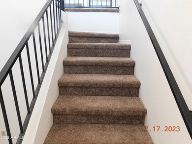 New carpet
