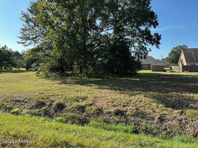 000 S Monte Blanc Dr, Abbeville, LA 70510 - photo 4