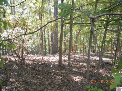 0 Rivers End Ct unit Lot 121, Cadiz, KY 42211 - photo 5