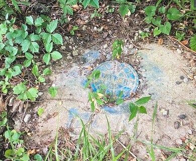 895 Dresden Dr, Perry Township, OH 45118 - photo 3