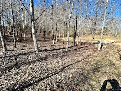 0 Shady Creek Ln, Byrdstown, TN 38549 - photo 4