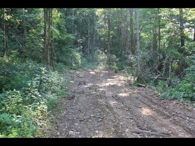 74.45 AC Macedonia Rd, Cookeville, TN 38506 - photo 4