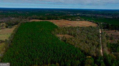 0 Bethel Rd unit TRACT 8 10425061, Sylvania, GA 30467 - photo 2