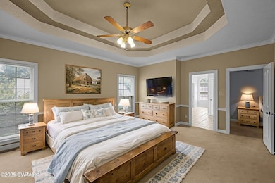 Bedroom featuring light colored carpet, a tray ceiling, ornamental molding, and ceiling fan