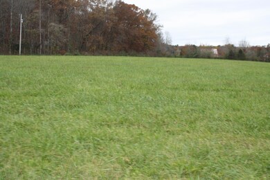 IMG_0038 - Copy