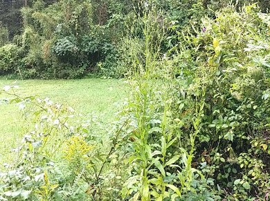 0 Onzie Stewart Rd, Arjay, KY 40902 - photo 3