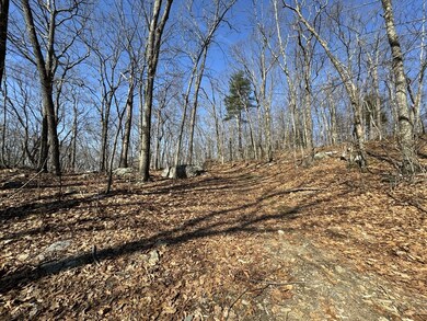 576v Ridge Rd, Wilbraham, MA 01095 - photo 5