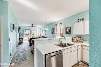 7509 Moorehen-7