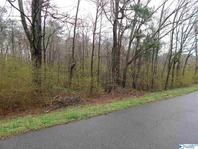 0 Randles Rd unit 1113269, Grant, AL 35747 - photo 7