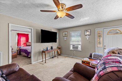 254 Meadowview Ln, Bean Station, TN 37708 - photo 7