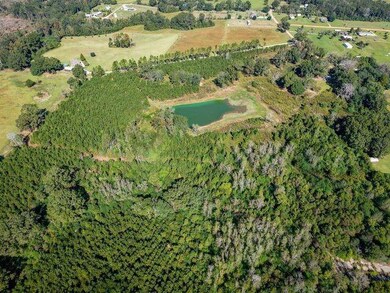 0 Simmons Rd, Franklinton, LA 70438 - photo 5