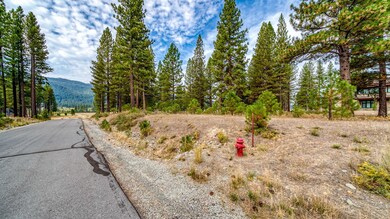 503 Redtail Loop, Clio, CA 96106 - photo 6