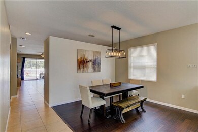 4407 Trout River Crossing, Ellenton, FL 34222 - photo 5