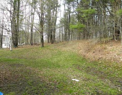 Yard/Garden.