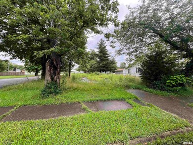 218 Elm St, Zeigler, IL 62999 - photo 5